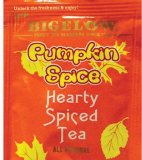 Picture of Pumpkin Spice Tea Individual Packets (160 Units)