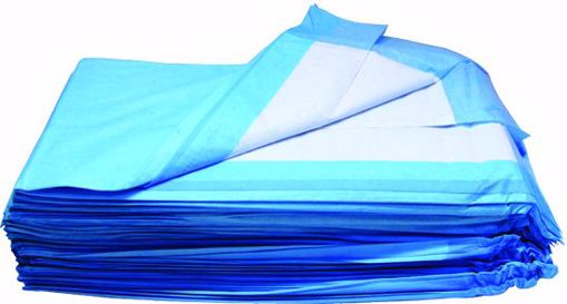 Picture of Dukal Basic Care 17" x 24" Underpad - 100 Count (300 Units)