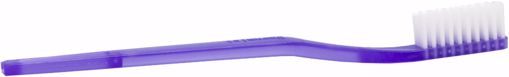 Picture of Toothbrush - 30 Tufts, Purple, Soft (1440 Units)