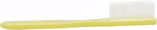 Picture of Toothbrush - 39 Tuft, Short Handle, Ivory (1440 Units)
