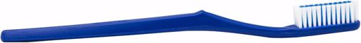 Picture of Toothbrush - 52 Tufts, Blue (1440 Units)
