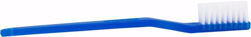 Picture of Child's Toothbrush - 27 Tufts, Blue (1440 Units)
