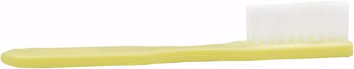 Picture of Toothbrush - 4" Handle, 30 Tufts, Ivory (1440 Units)